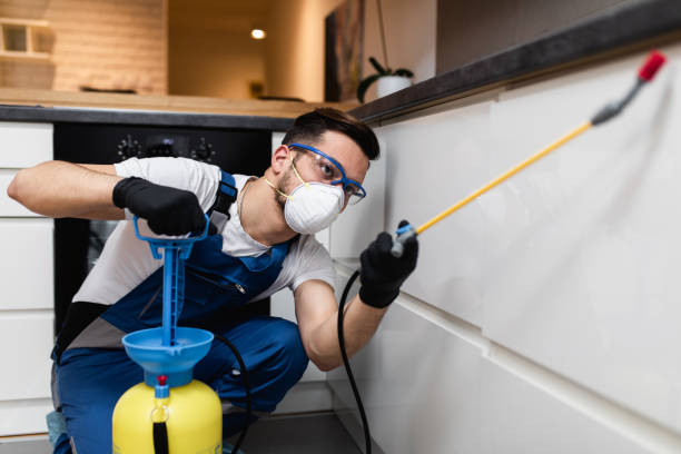 Best Bed Bug Extermination  in West View, PA