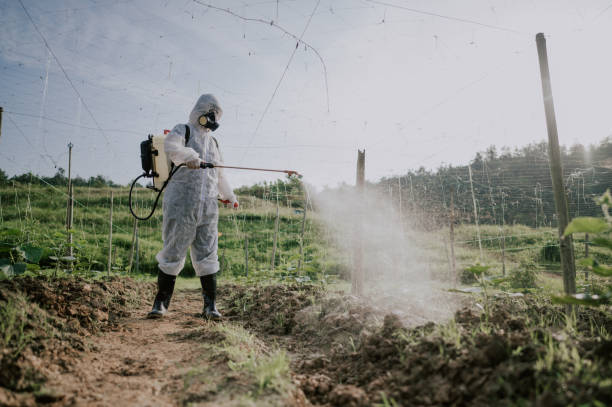 Best Best Pest Control Companies  in West View, PA