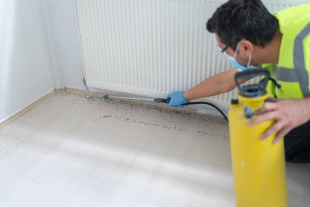 Best Affordable Pest Control Services  in West View, PA